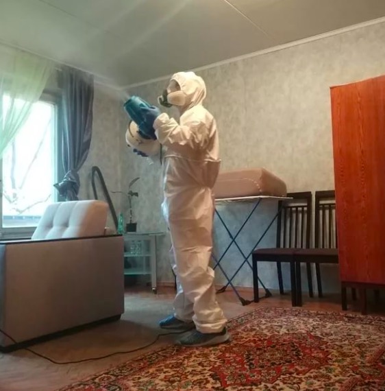 дезинсекция квартиры в Череповце